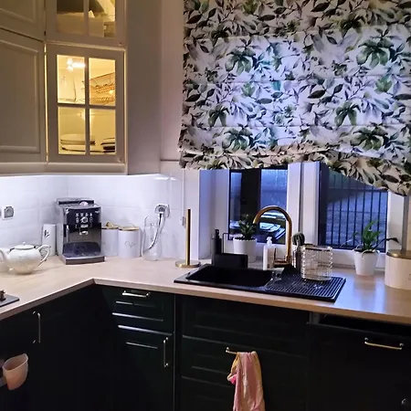 Paprotka U Rozy 23 *